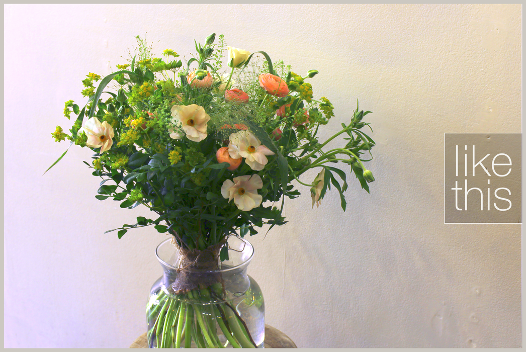 Blushed Spring Garden